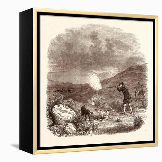 Grouse Shooting in August. Shotgun-null-Framed Premier Image Canvas