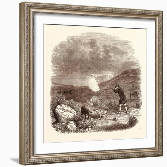 Grouse Shooting in August. Shotgun-null-Framed Giclee Print