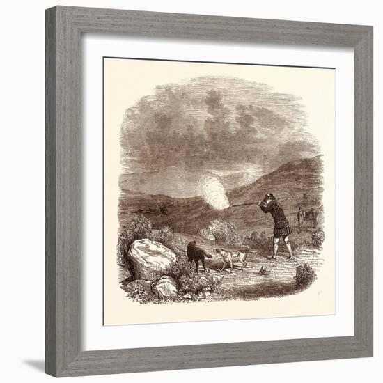 Grouse Shooting in August. Shotgun-null-Framed Giclee Print