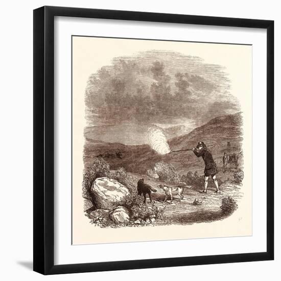 Grouse Shooting in August. Shotgun-null-Framed Giclee Print