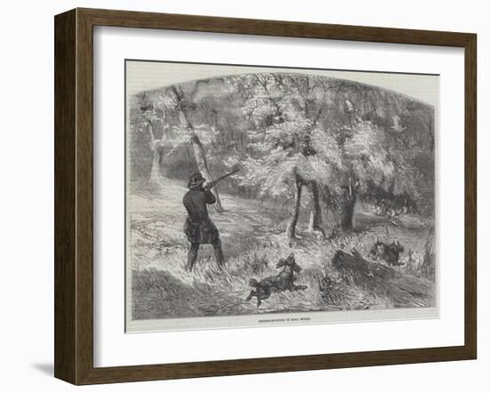 Grouse-Shooting in Nova Scotia-Harrison William Weir-Framed Giclee Print