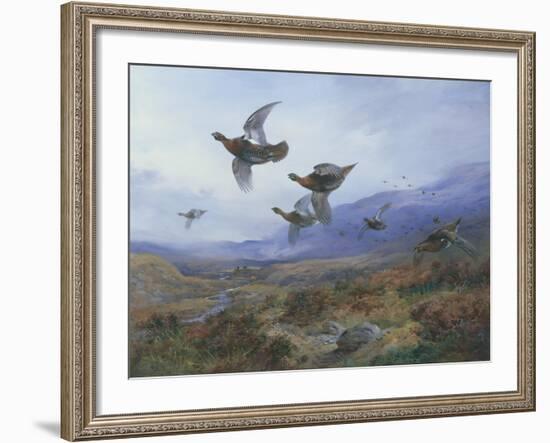 Grouse Taking Flight-Archibald Thorburn-Framed Giclee Print