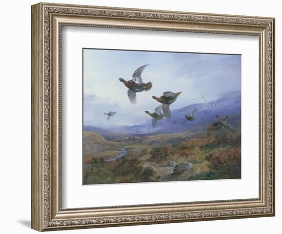 Grouse Taking Flight-Archibald Thorburn-Framed Giclee Print