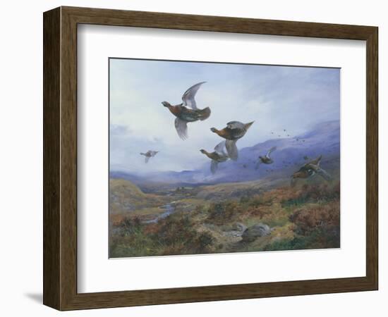 Grouse Taking Flight-Archibald Thorburn-Framed Giclee Print