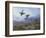 Grouse Taking Flight-Archibald Thorburn-Framed Giclee Print