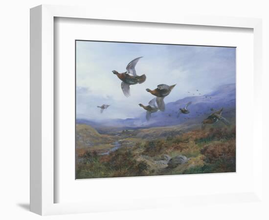 Grouse Taking Flight-Archibald Thorburn-Framed Giclee Print