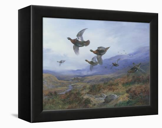 Grouse Taking Flight-Archibald Thorburn-Framed Premier Image Canvas