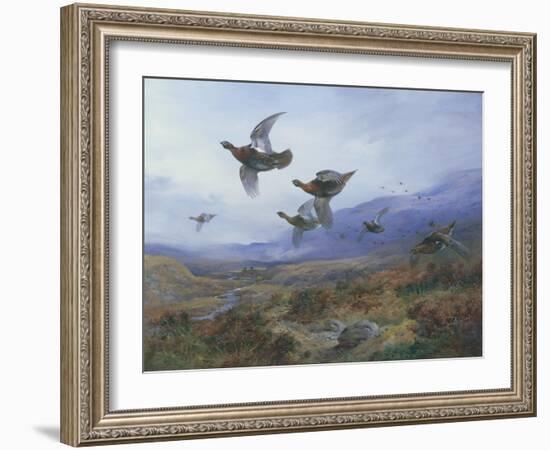 Grouse Taking Flight-Archibald Thorburn-Framed Giclee Print