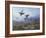 Grouse Taking Flight-Archibald Thorburn-Framed Giclee Print