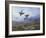 Grouse Taking Flight-Archibald Thorburn-Framed Giclee Print