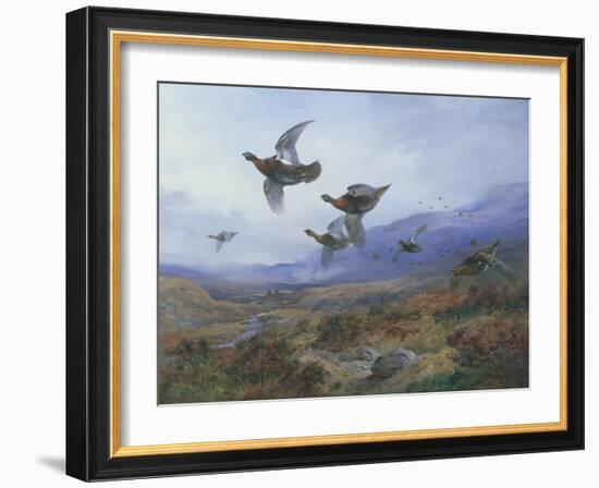 Grouse Taking Flight-Archibald Thorburn-Framed Giclee Print