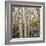 Grove of Coloful Aspens in Fall-Micha Pawlitzki-Framed Photographic Print