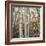 Grove of Coloful Aspens in Fall-Micha Pawlitzki-Framed Photographic Print