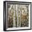 Grove of Coloful Aspens in Fall-Micha Pawlitzki-Framed Photographic Print