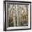 Grove of Coloful Aspens in Fall-Micha Pawlitzki-Framed Photographic Print