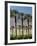 Grove of Date Palms, Coachella, California, USA-Walter Bibikow-Framed Photographic Print