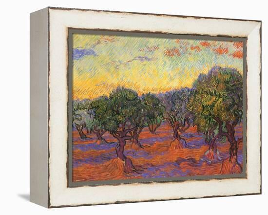 Grove of Olive Trees, 1889-Vincent van Gogh-Framed Premier Image Canvas