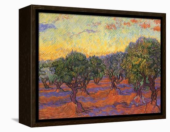 Grove of Olive Trees, 1889-Vincent van Gogh-Framed Premier Image Canvas