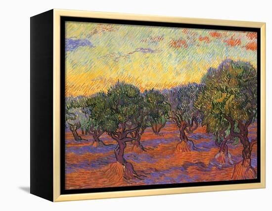 Grove of Olive Trees, 1889-Vincent van Gogh-Framed Premier Image Canvas