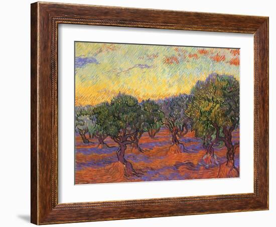 Grove of Olive Trees, 1889-Vincent van Gogh-Framed Giclee Print