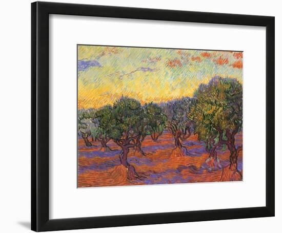 Grove of Olive Trees, 1889-Vincent van Gogh-Framed Giclee Print