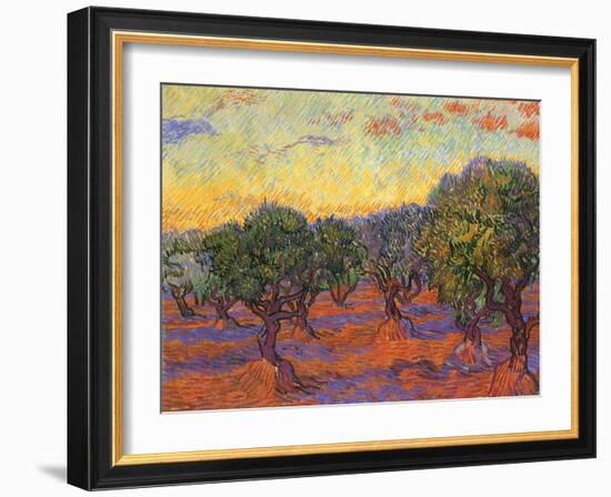 Grove of Olive Trees, 1889-Vincent van Gogh-Framed Giclee Print