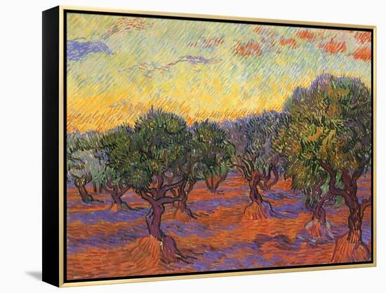 Grove of Olive Trees, 1889-Vincent van Gogh-Framed Premier Image Canvas