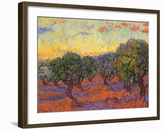 Grove of Olive Trees, 1889-Vincent van Gogh-Framed Premium Giclee Print