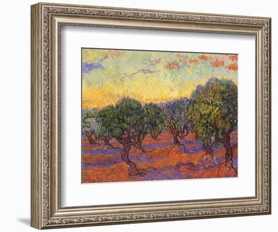 Grove of Olive Trees, 1889-Vincent van Gogh-Framed Giclee Print