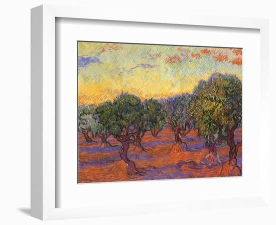 Grove of Olive Trees, 1889-Vincent van Gogh-Framed Giclee Print