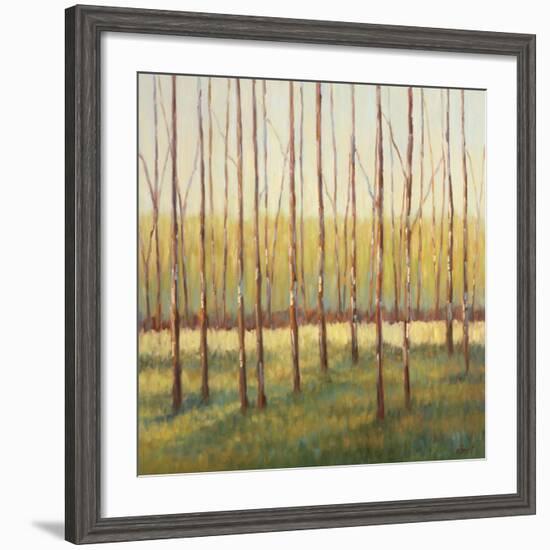 Grove of Trees-Libby Smart-Framed Art Print