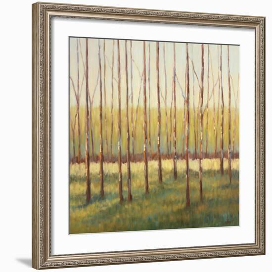 Grove of Trees-Libby Smart-Framed Art Print