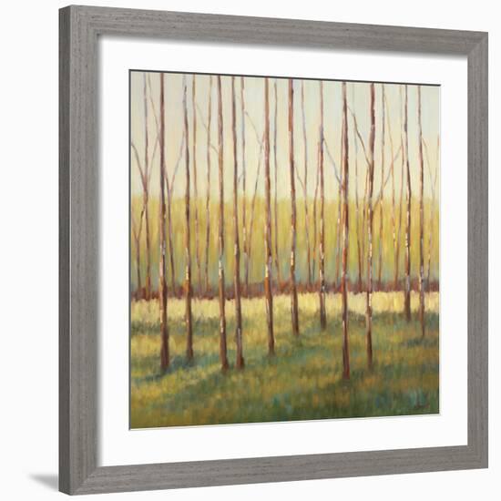 Grove of Trees-Libby Smart-Framed Art Print