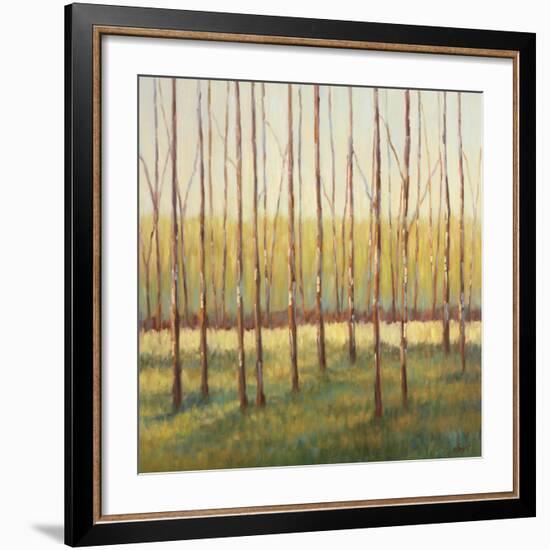 Grove of Trees-Libby Smart-Framed Art Print