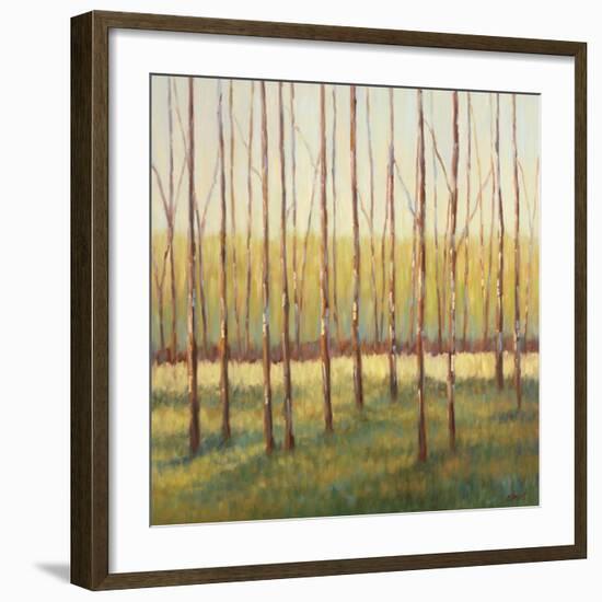 Grove of Trees-Libby Smart-Framed Art Print