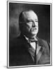 Grover Cleveland, 22nd and 24th President of the United States, 19th Century-MATHEW B BRADY-Mounted Giclee Print