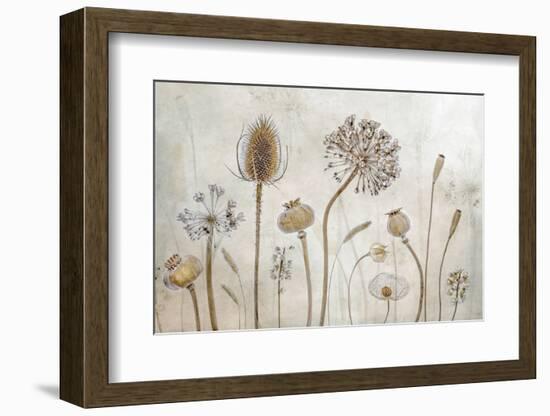 Growing Old-Mandy Disher-Framed Photographic Print