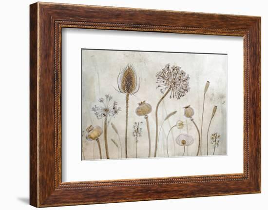 Growing Old-Mandy Disher-Framed Photographic Print