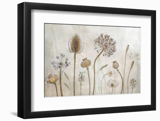 Growing Old-Mandy Disher-Framed Photographic Print