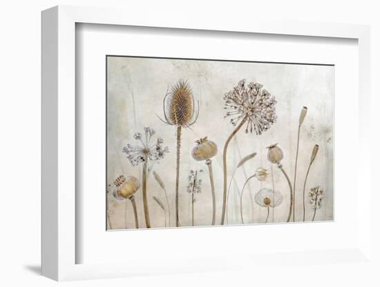 Growing Old-Mandy Disher-Framed Photographic Print