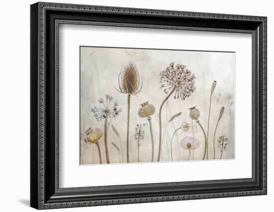 Growing Old-Mandy Disher-Framed Photographic Print