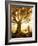 Growing Up Is Made of Small Things-Christophe Kiciak-Framed Photographic Print