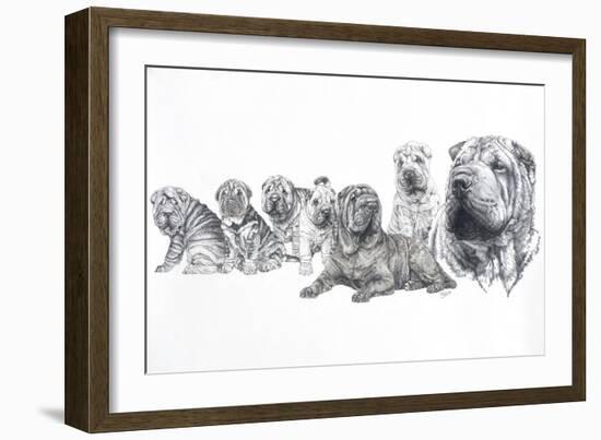 Growing Up Shar Pei-Barbara Keith-Framed Giclee Print