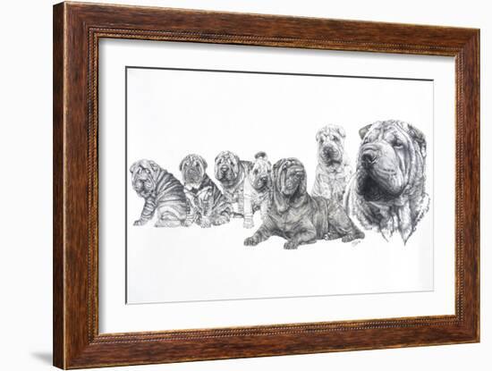 Growing Up Shar Pei-Barbara Keith-Framed Giclee Print