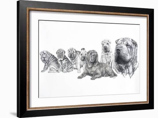 Growing Up Shar Pei-Barbara Keith-Framed Giclee Print