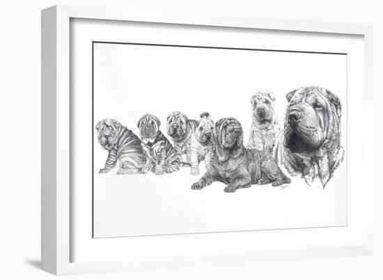 Growing Up Shar Pei-Barbara Keith-Framed Giclee Print