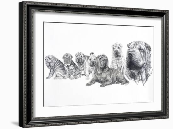 Growing Up Shar Pei-Barbara Keith-Framed Giclee Print