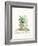 Grown at Home II Cream-Danhui Nai-Framed Art Print