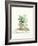 Grown at Home II Cream-Danhui Nai-Framed Art Print