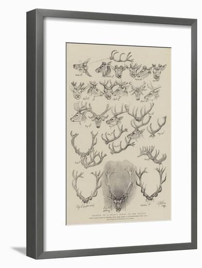 Growth of a Stag's Horns in One Season-John Everett Millais-Framed Giclee Print